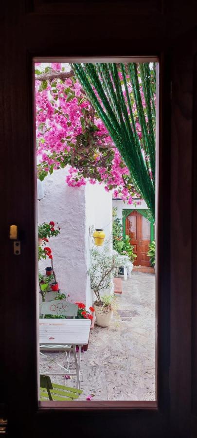 La Buganvilla De Juana Y Antonio Casares Eksteriør billede